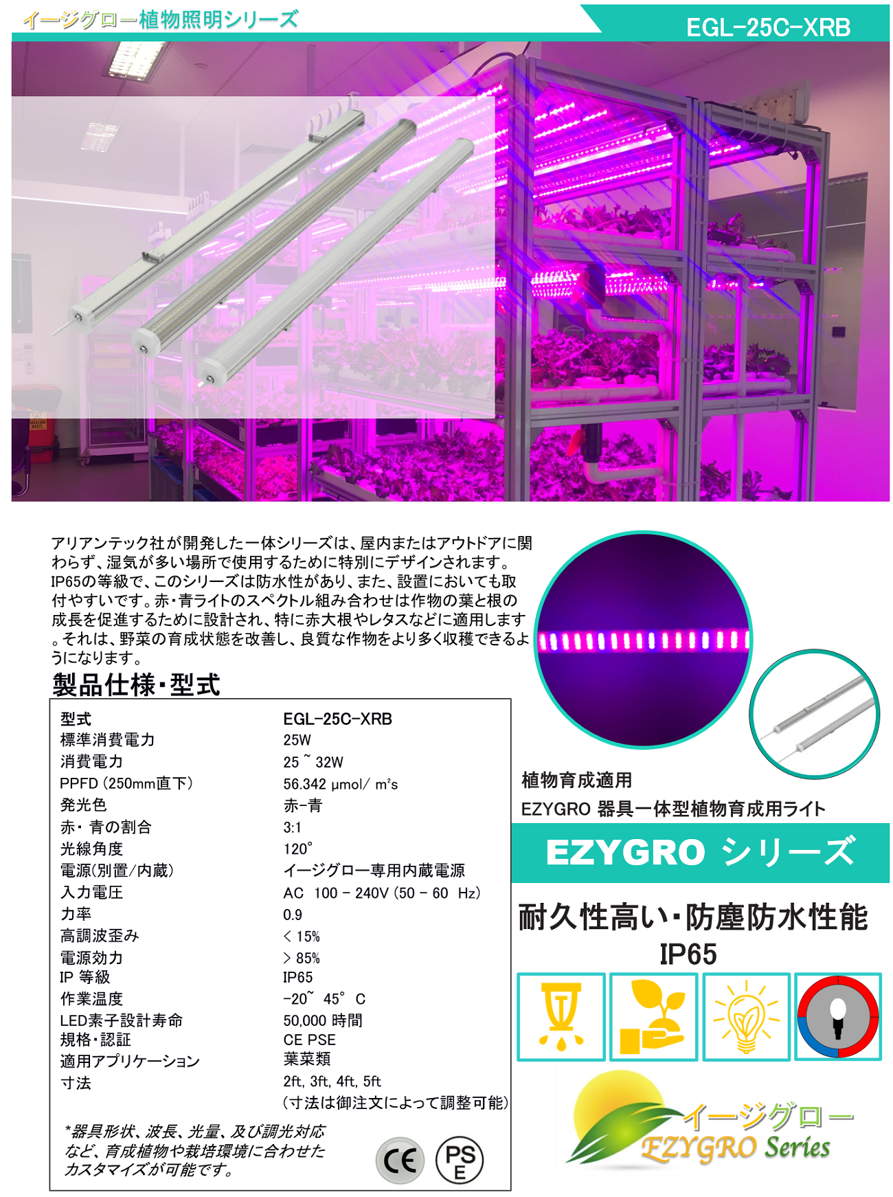 EGL-25C-XRB