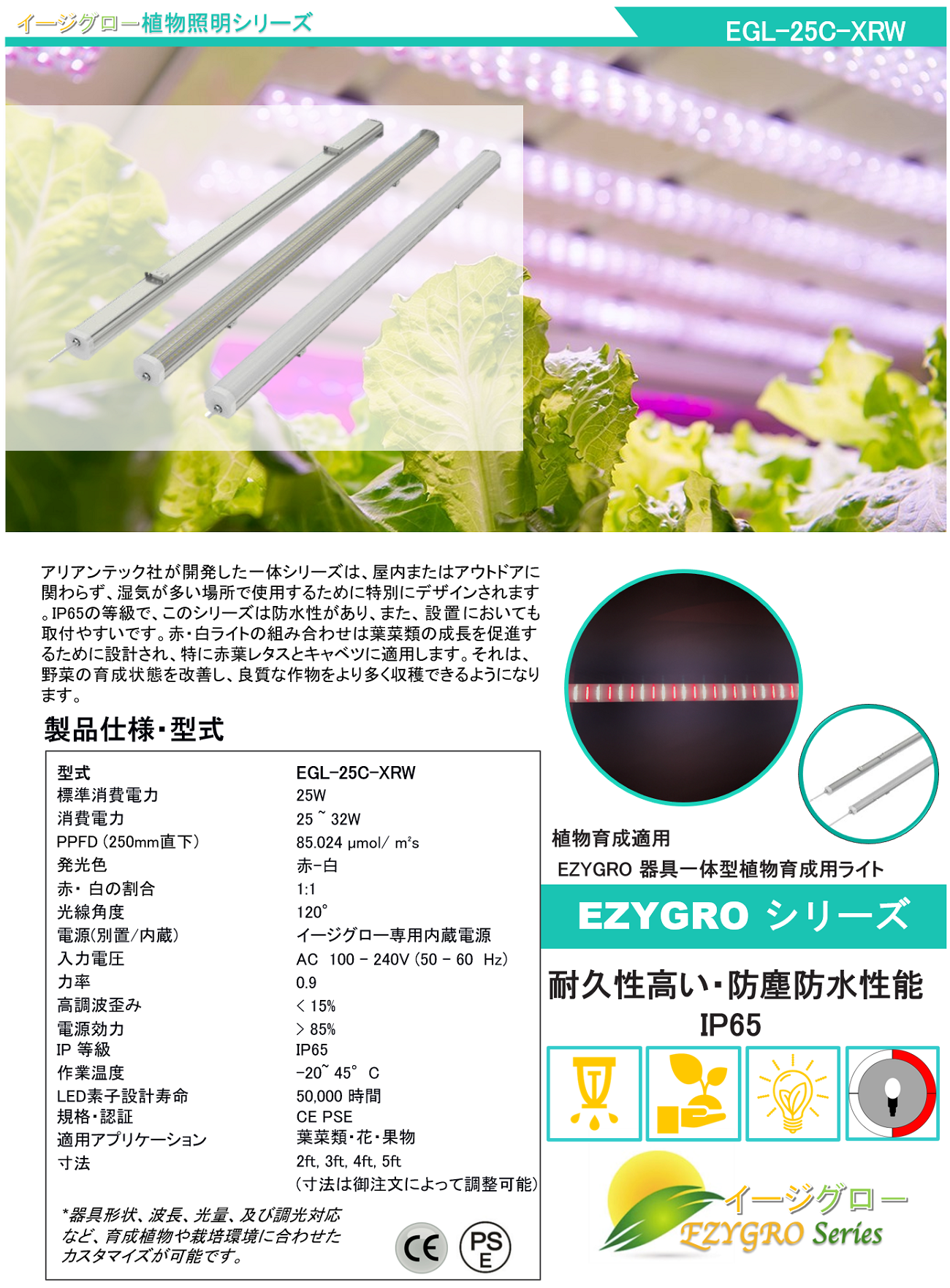 EGL-25C-XRW