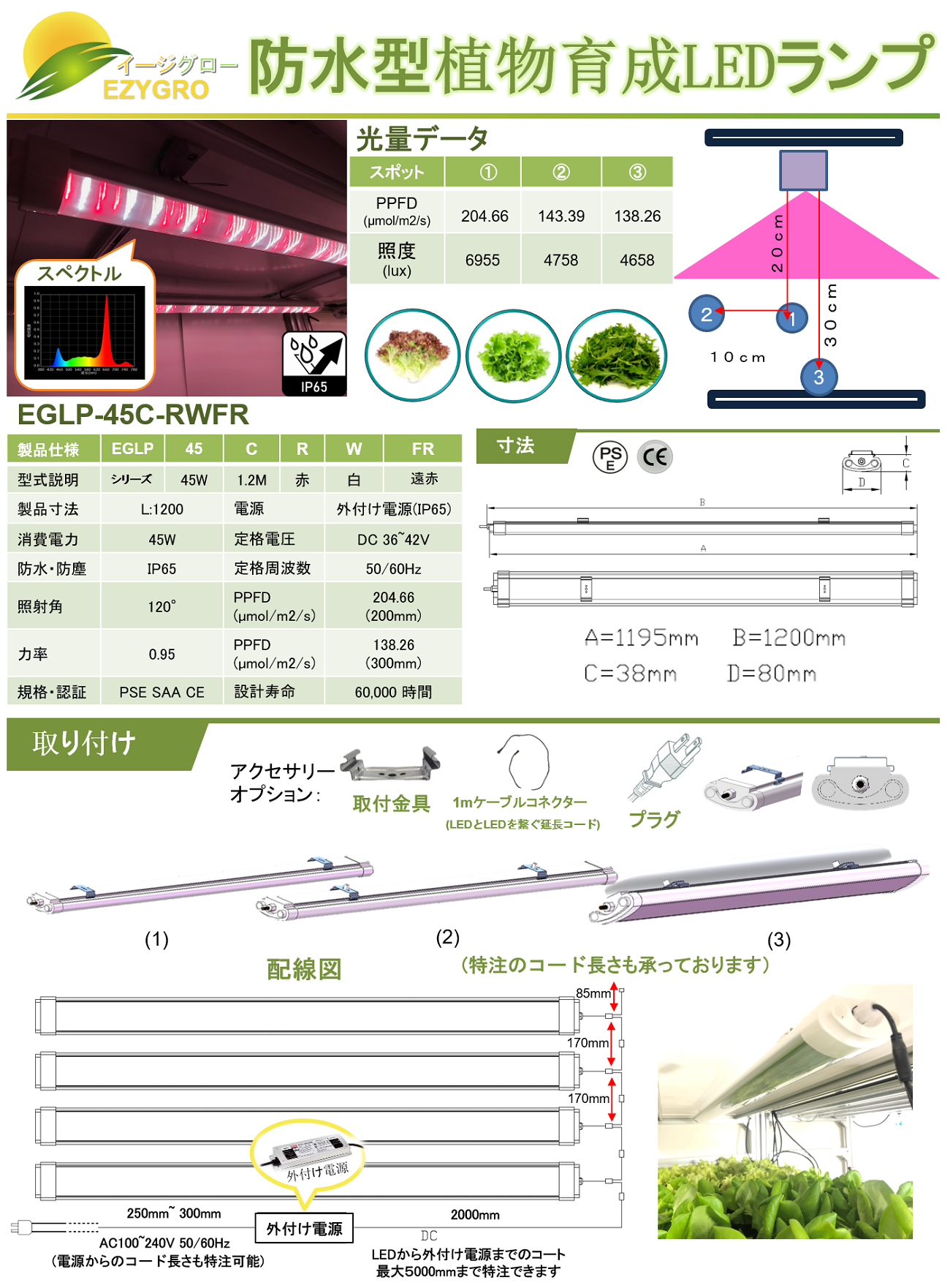 EGLP-45C-RWFR