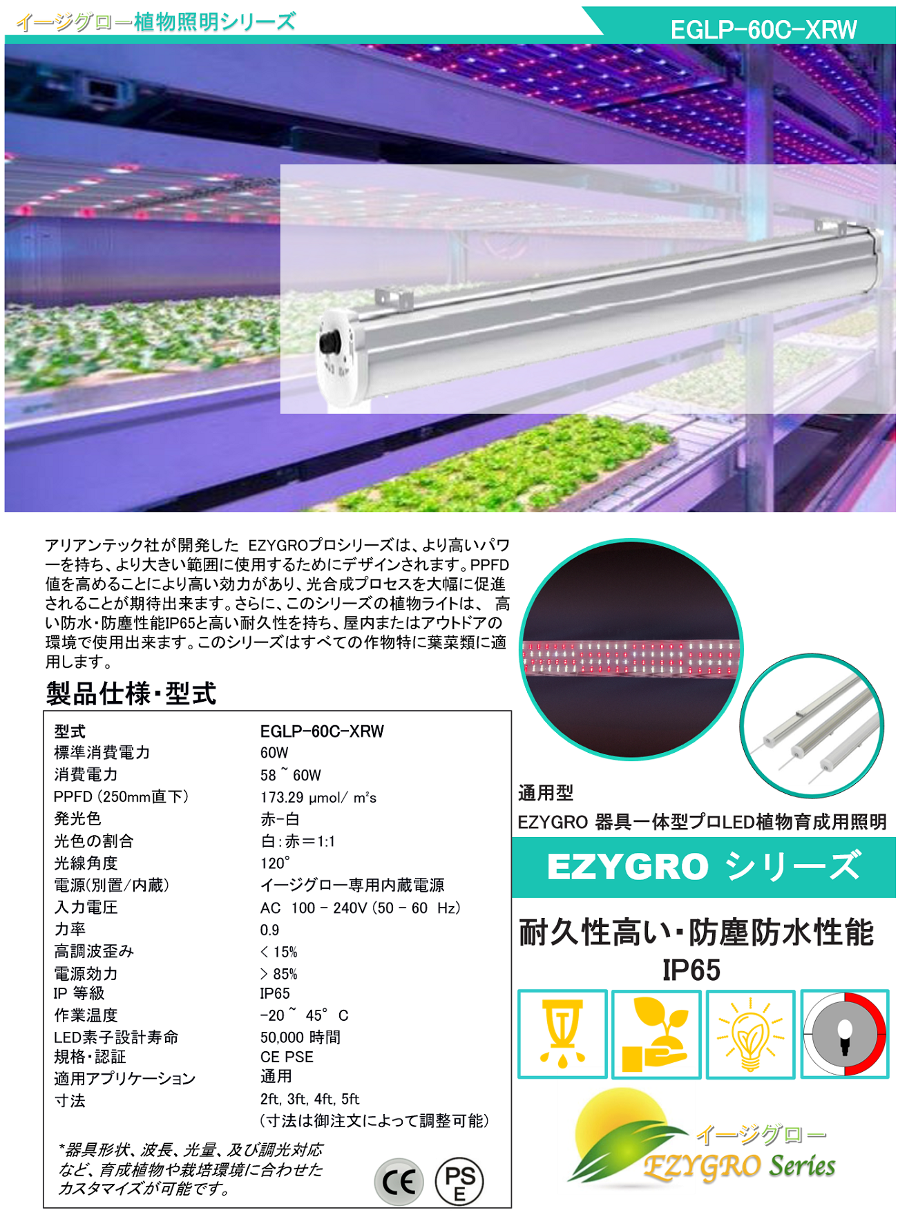 EGLP-60C-XRW