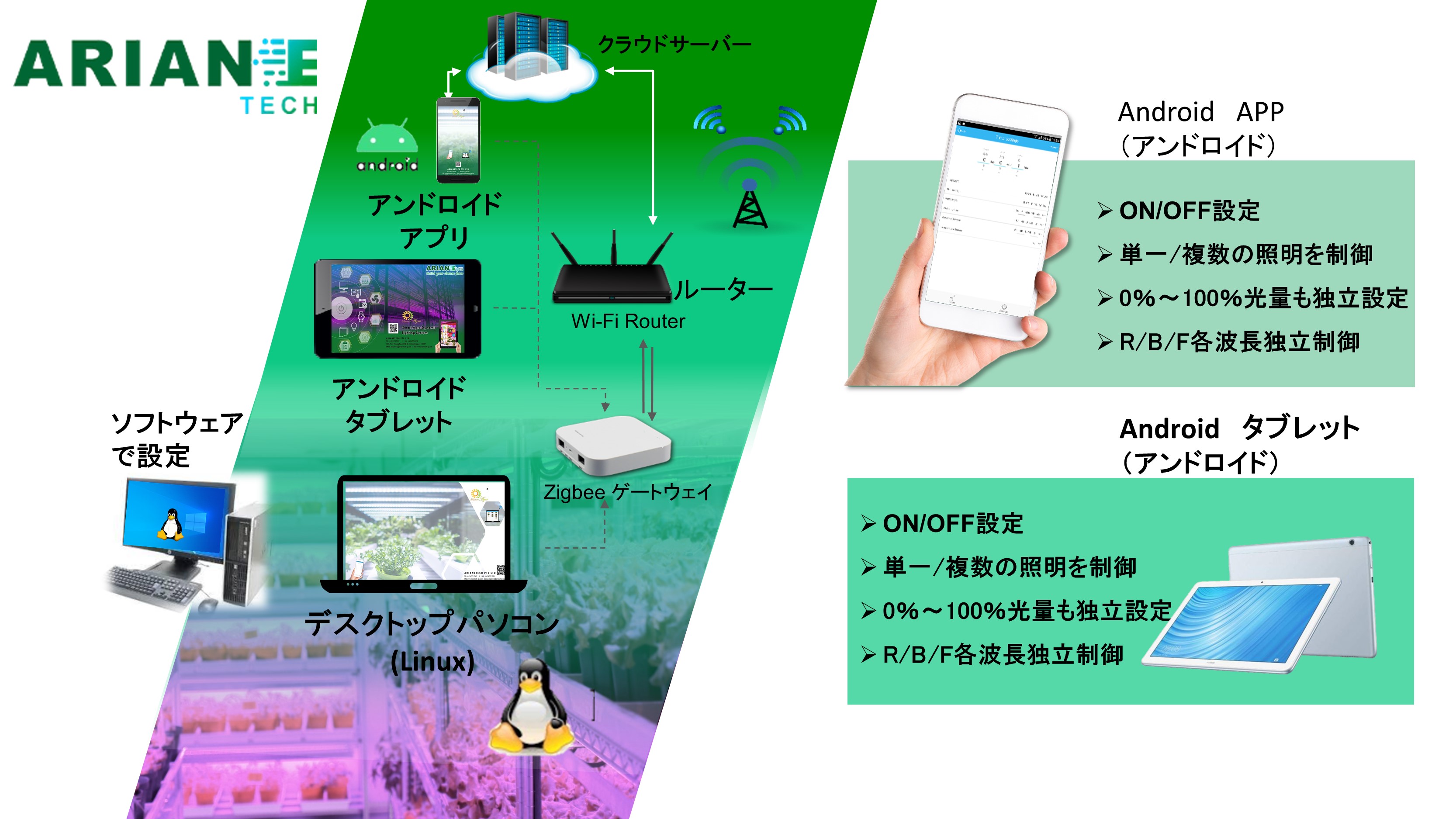 Slide13